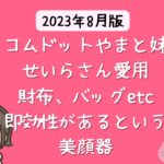 コムドットやまと妹・ せいらさん愛用の財布はCHANEL 【2023年 芸能人の財布】