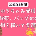 ゆうちゃみ愛用の財布はヴィトン 【2023年 芸能人の財布】